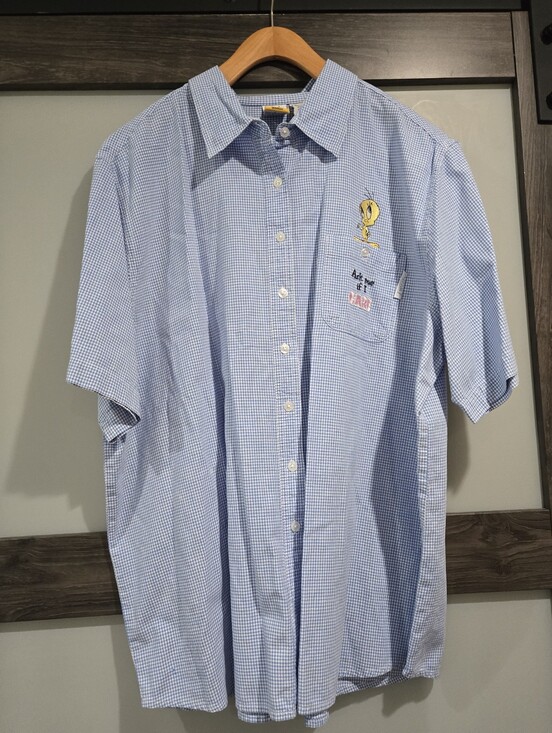 Warner Bros. Tops - LOONEY TUNES Vintage Women's Blue Checkered Tweety Bird Embroidered Shirt 22/24W